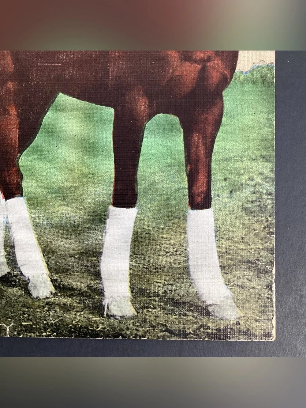 Kentucky Derby vintage postcard
